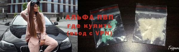 дмт Аркадак