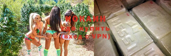 дмт Аркадак