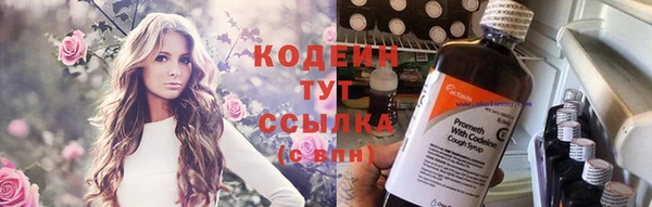 спиды Арсеньев
