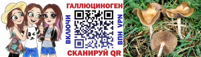 Галлюциногенные грибы MAGIC MUSHROOMS  Сясьстрой 