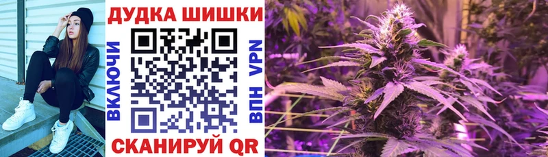 наркота  Сясьстрой  Канабис гибрид 